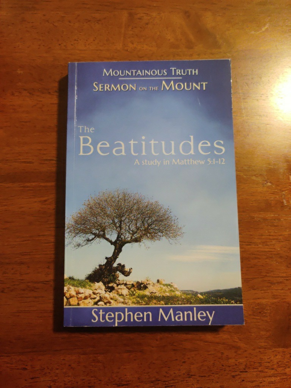 Mountainous Truth: The Beatitudes - Blue Paperback by